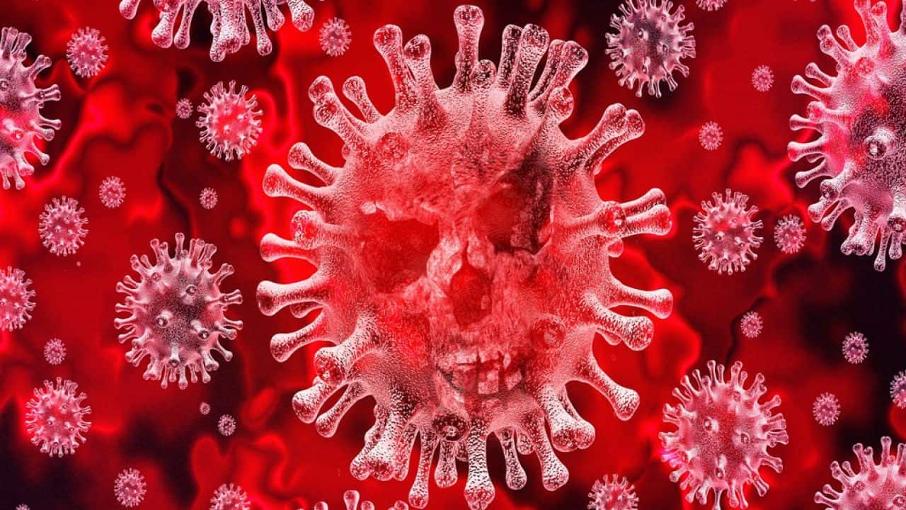 Coronavirus, il racconto di Niccolò,  17enne bloccato per due volte Wuhan “Sono stato nel focolaio dei focolai e non ho preso niente, il virus più pericoloso è il razzismo”