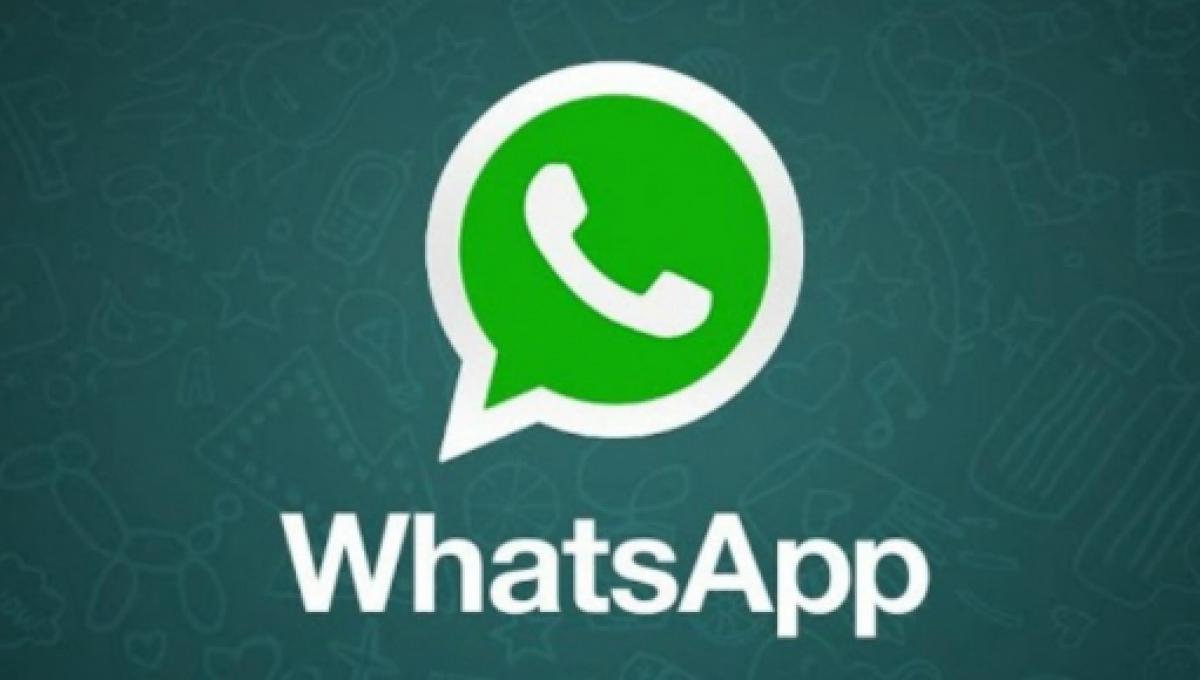 Decide di fare un gruppo Whatsapp con tutte le sue ex, come reagiscono