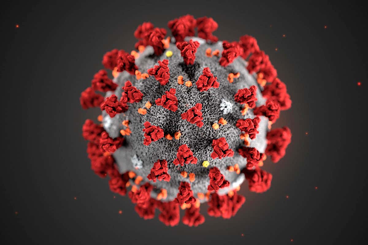 Coronavirus nasce il braccialetto che segnala sintomi da coronavirus