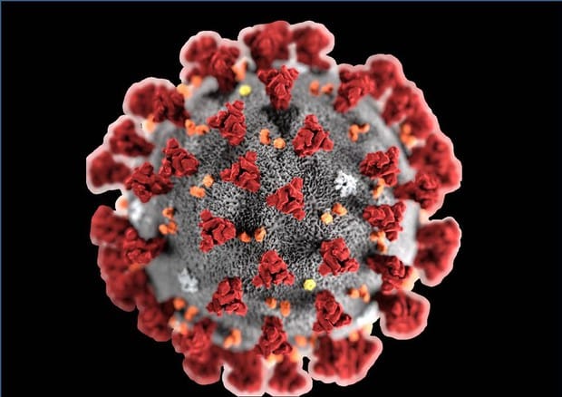 Coronavirus Puglia, bollettino oggi 6 aprile, 127 positivi e 13 decessi