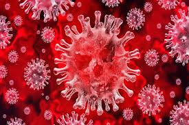 Coronavirus Puglia, oggi 25 aprile 31 casi , 6 in provincia di Bari