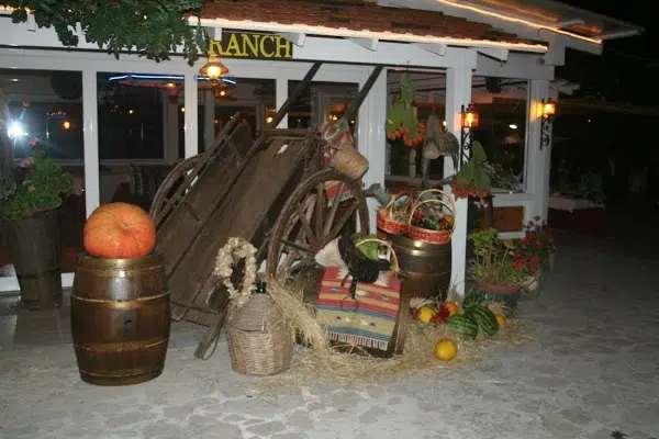 Bitritto, in fiamme nella notte il ristorante Ranch, danni gravi alla struttura, indagano i Carabinieri