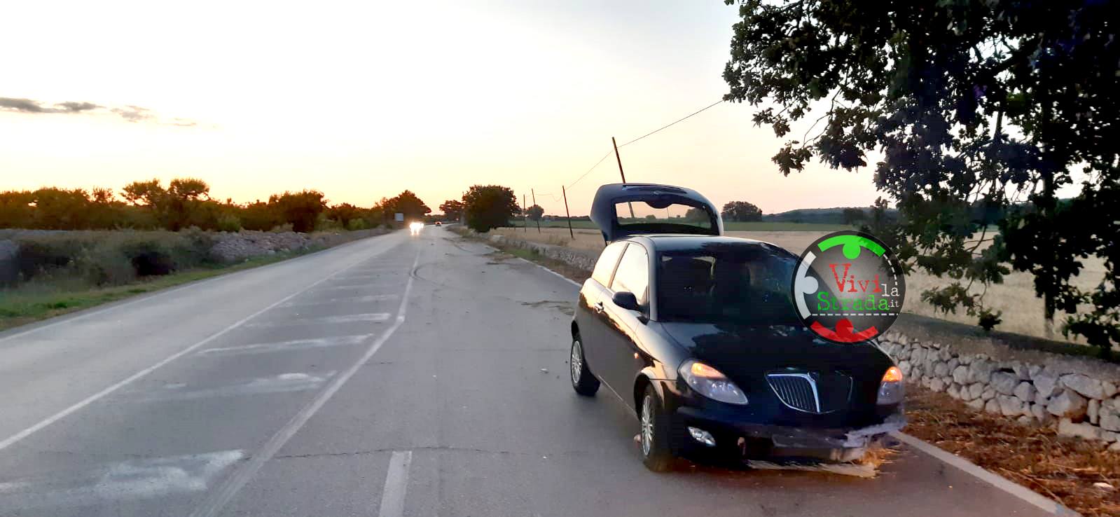 Provincia di Bari, donna ha colpo di sonno e finisce fuori strada, si ferisce gravemente al volto per un ramo di quercia