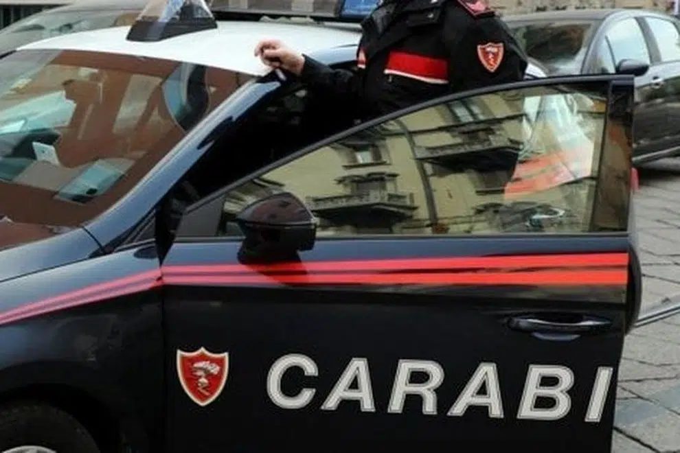 Roma, una bimba di soli 2 anni è gravissima dopo essere stata azzanata dai cani di famiglia. La piccola era con la nonna.