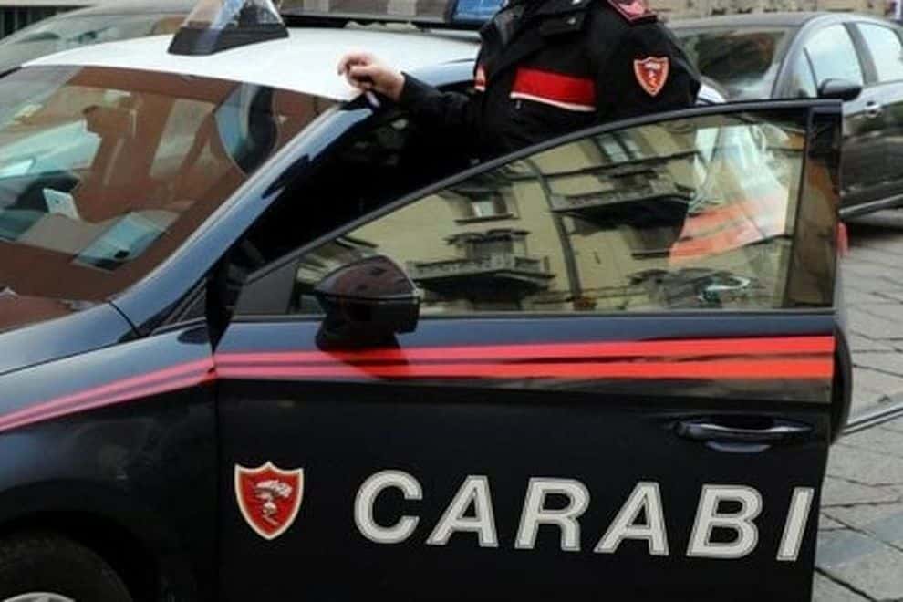 Livorno choc, 21 enne extracomunitario uccide un gatto e lo cucina sul marciapiede