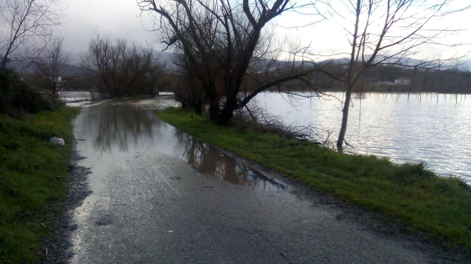 Mentre passeggia con il nipotino in braccio, sviene e cade nel fiume, i Carabinieri lo salvano