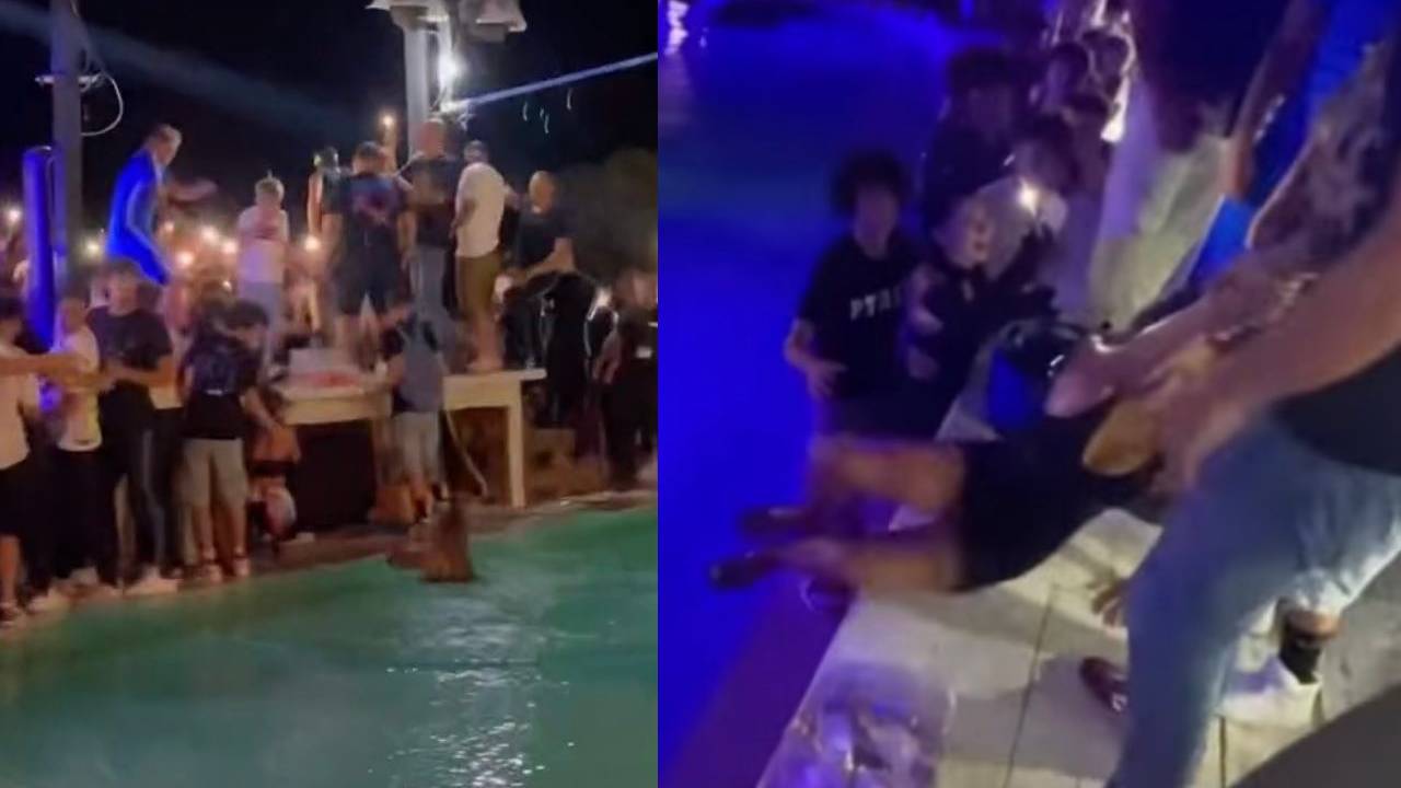 Rhove nella bufera, spinge una fan in piscina, travolto dalle critiche si giustifica