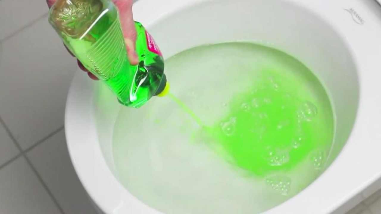 Sapone per i piatti nel water, il segreto per un bagno incredibile