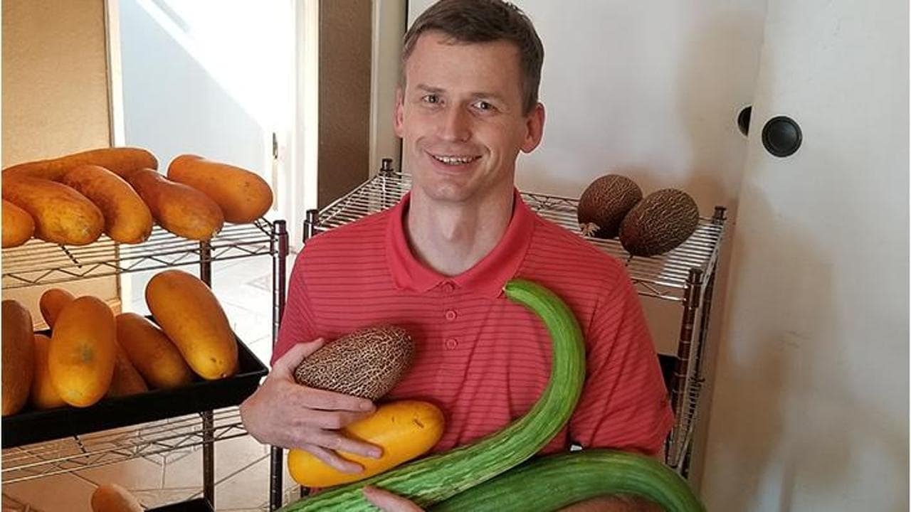 caroselli pugliesi (risorsa del web)