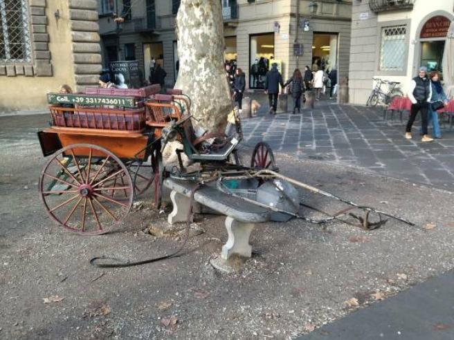 cavalllo (risorsa del web)