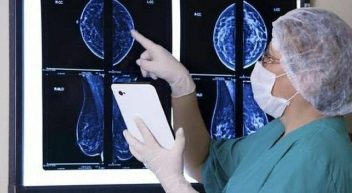 https://www.leggo.it/schede/tumori_1_morto_4_basso_livello_istruzione_studio_boom_nuove_diagnosi_oggi_2_2_2024-7910921.html