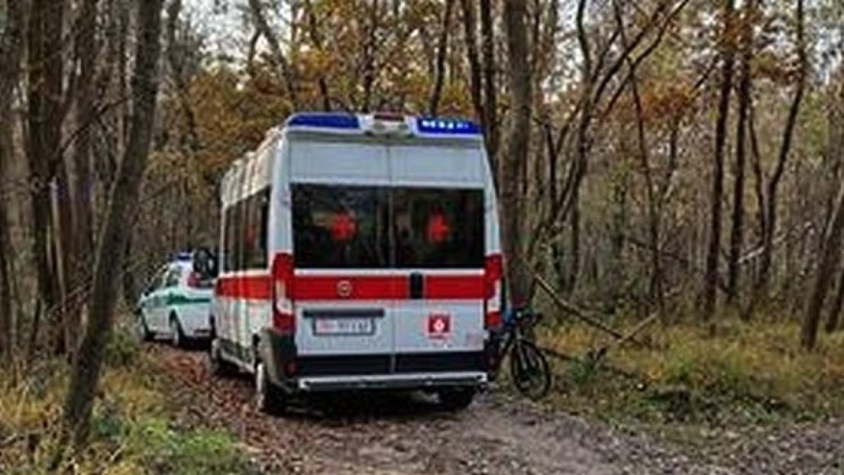 Mistero in un bosco vicino a Reggio Emilia, trovato due corpi senza vita, forse sono mare e figlio, omicidio-suicidio?