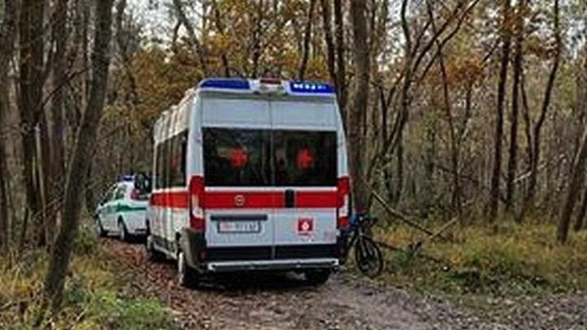 Un uomo di 78 anni è deceduto nelle campagne di Tolve dopo essere stato travolto dal trattore che stava guidando.