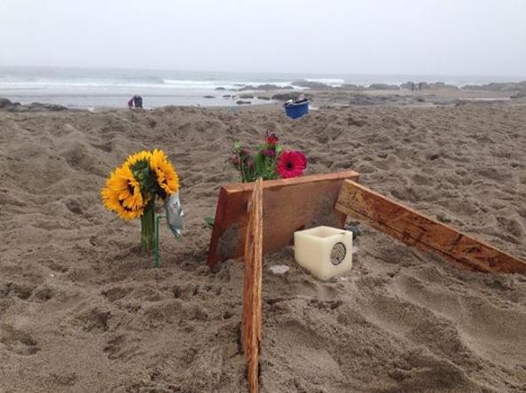 Un tragico incidente in spiaggia: la perdita di Sloan Mattingly scuote la Florida