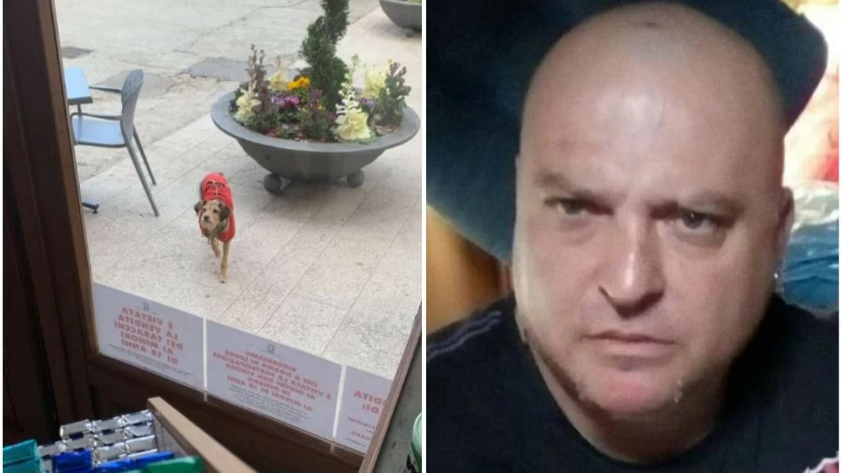 Una lealtà commovente: la cagnolina Aki vagabonda per giorni alla ricerca del suo padrone ucciso all'Aquila.