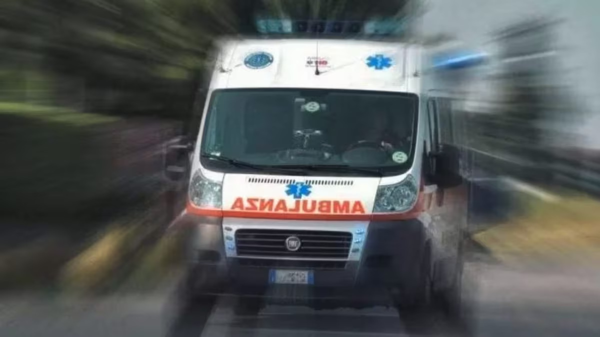 Una donna ha perso la vita questa mattina a seguito di un tragico scontro tra la sua auto e un mezzo pesante nel territorio di Laterza.