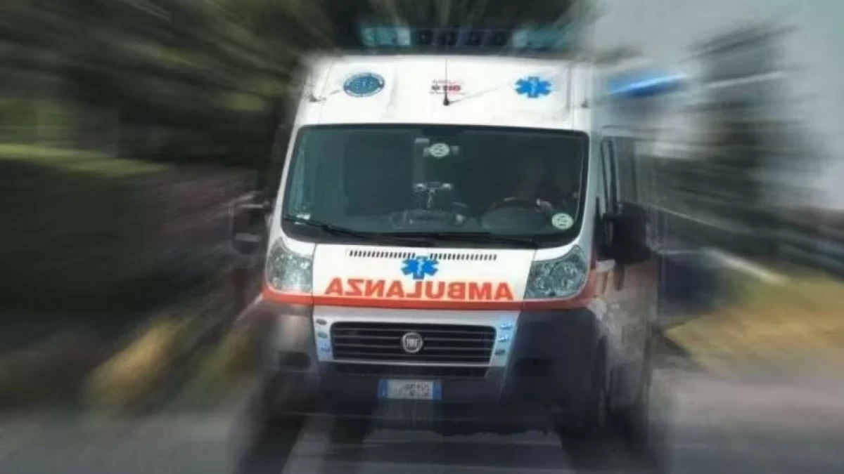 Una donna ha perso la vita questa mattina a seguito di un tragico scontro tra la sua auto e un mezzo pesante nel territorio di Laterza.