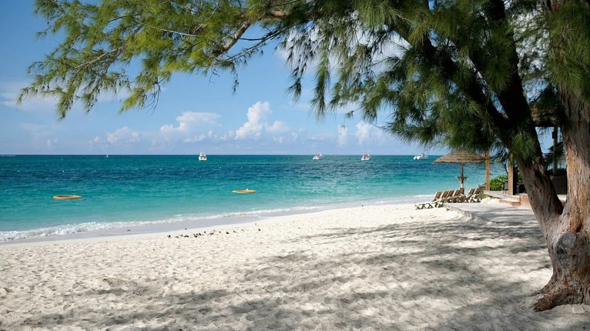 Una tragica fine trasforma una vacanza nei Caraibi in un lutto per una coppia inglese ritrovata senza vita su una spiaggia.