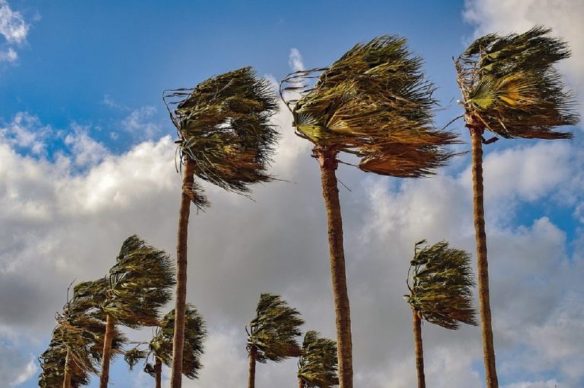 Oggi, domenica 10 marzo giornata di vento e sabbia: lo scirocco si fa sentire