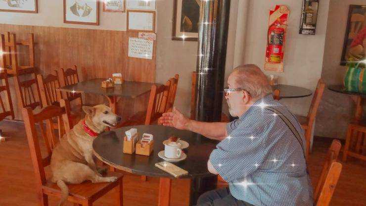 Corchito, da cane randagio a mascotte del locale per tenere compagnia alle persone sole