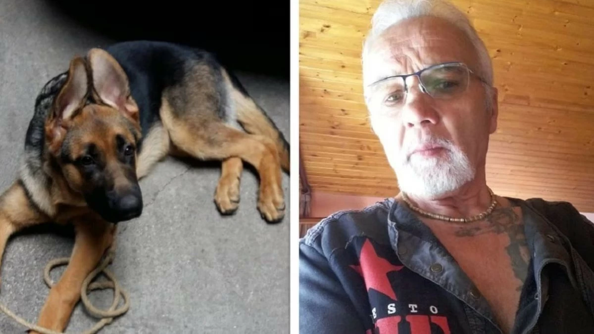 Anziani trovati morti in casa a Udine: si indaga sulle cause