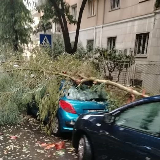 Nubifragio a Bari: alberi caduti e sottopassi allagati e chiusi, traffico aereo in tilt
