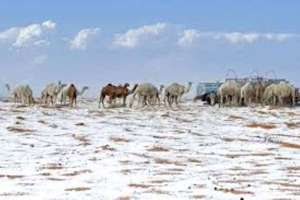 Una nevicata storica trasforma il deserto di Al-Jawf: meraviglia e incredulità tra la popolazione