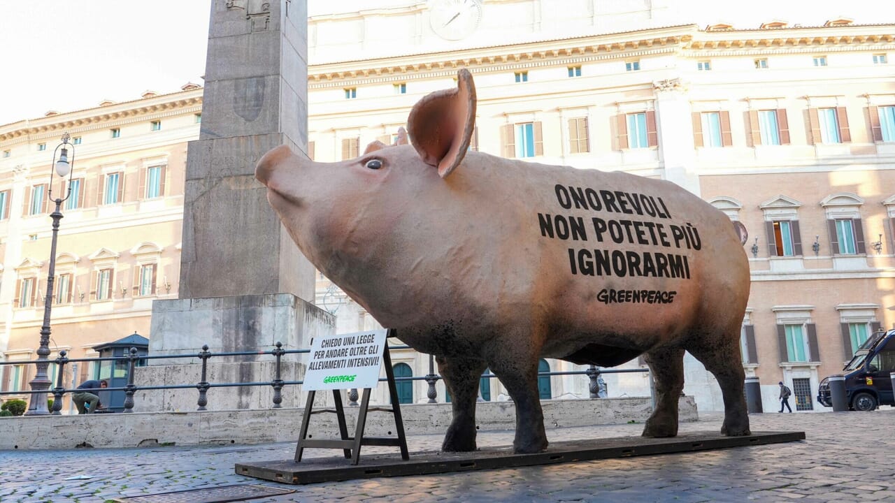 Un'enorme scultura di cartapesta raffigurante un maiale è apparsa in piazza Montecitorio per sollecitare il Parlamento a discutere la proposta di legge sulla transizione agro-ecologica.
