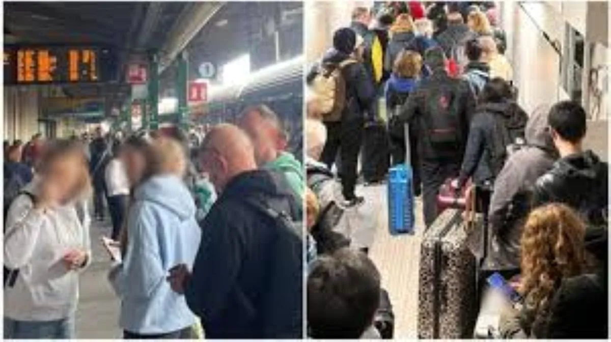 Treni fermi in Puglia per ore: passeggeri al gelo e senza informazioni dopo l’impatto con un gregge