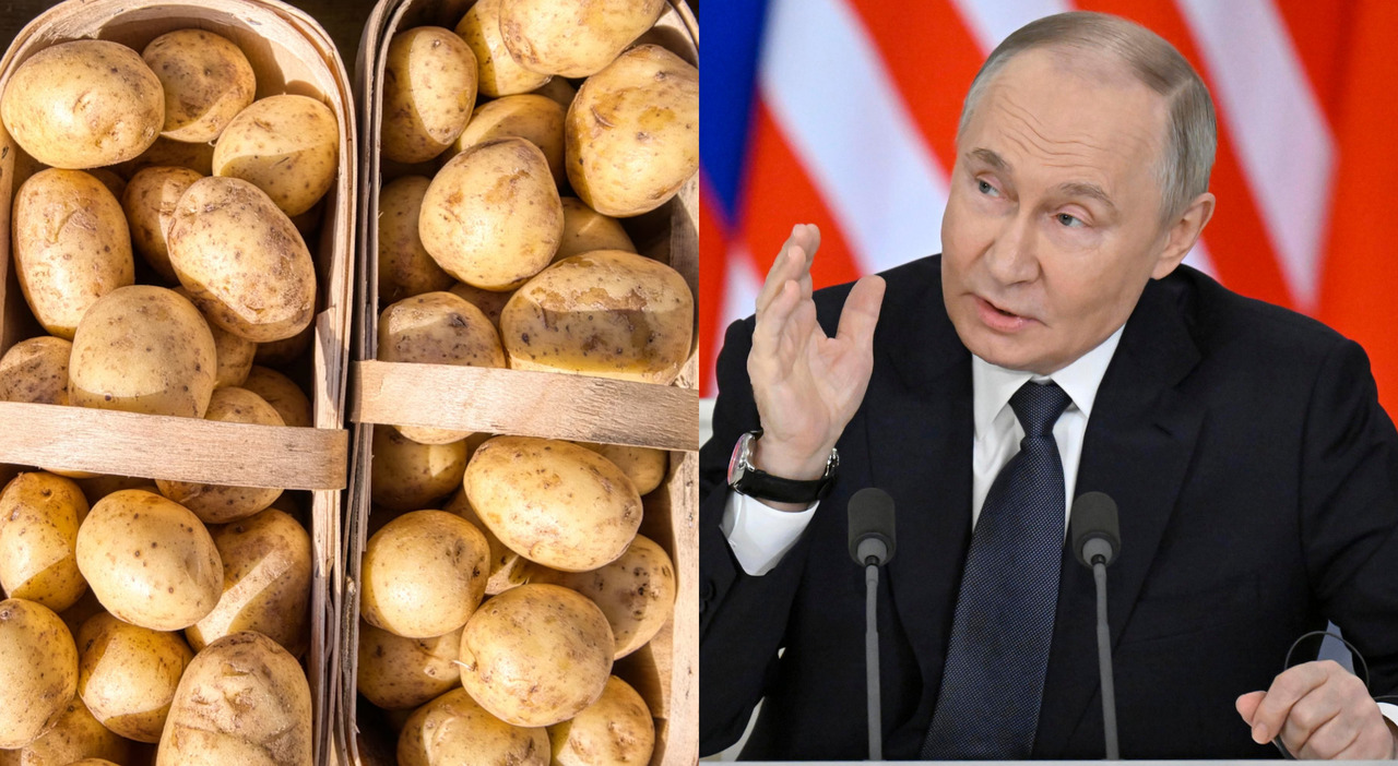 I prezzi degli ortaggi sono raddoppiati, le patate costano il 133% in più. Il Cremlino spende il 40% del bilancio statale per difesa e sicurezza.