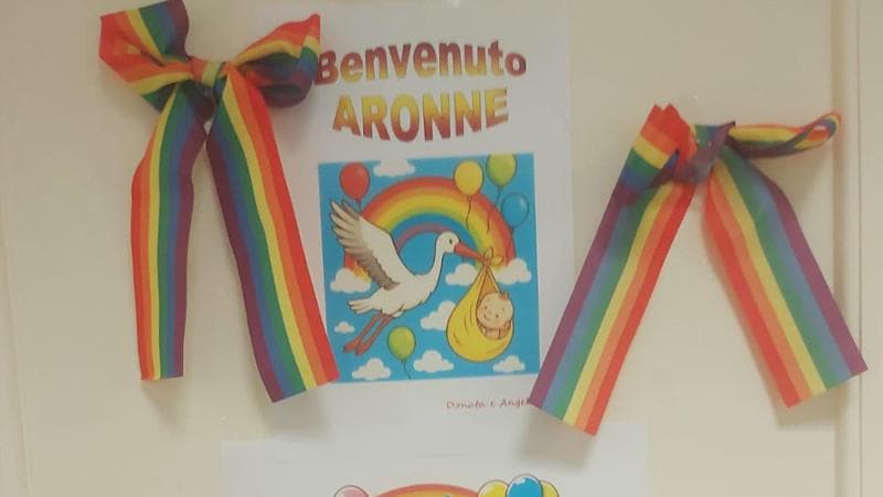 Fiocchi arcobaleno per nascita del figlio: bufera sull’assessora Pd, la Lega “Si nasce maschi o femmine”