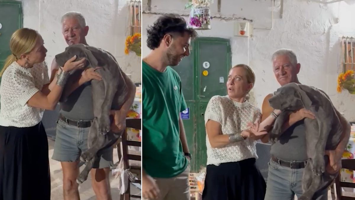 L’ex ministro Danilo Toninelli polemizza con Giorgia Meloni dopo la visita a un allevamento in Puglia. Sui social pioggia di critiche all’ex M5s.