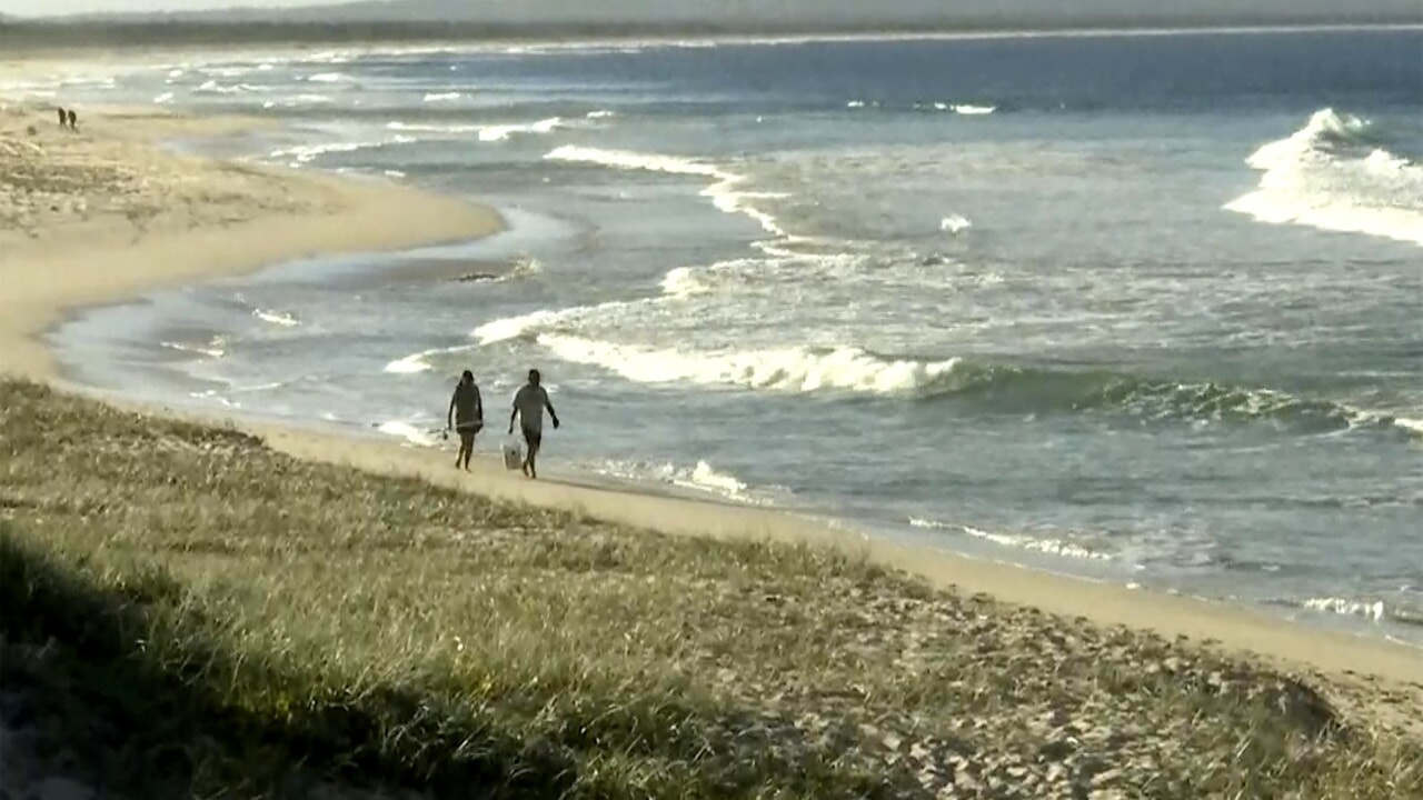 La vittima, un uomo di 50 anni, è stata portata a riva dagli amici. La tavola distrutta e il mare pattugliato alla ricerca del predatore.