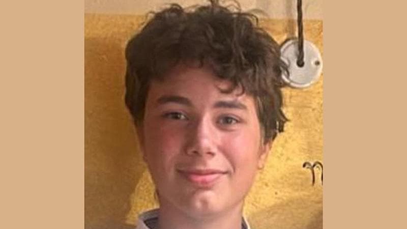Diego Baroni, 14 anni, è scomparso da Pozzo di San Giovanni Lupatoto: doveva andare a scuola, ma è partito per Milano. Procura e carabinieri indagano su una possibile sottrazione di minore.