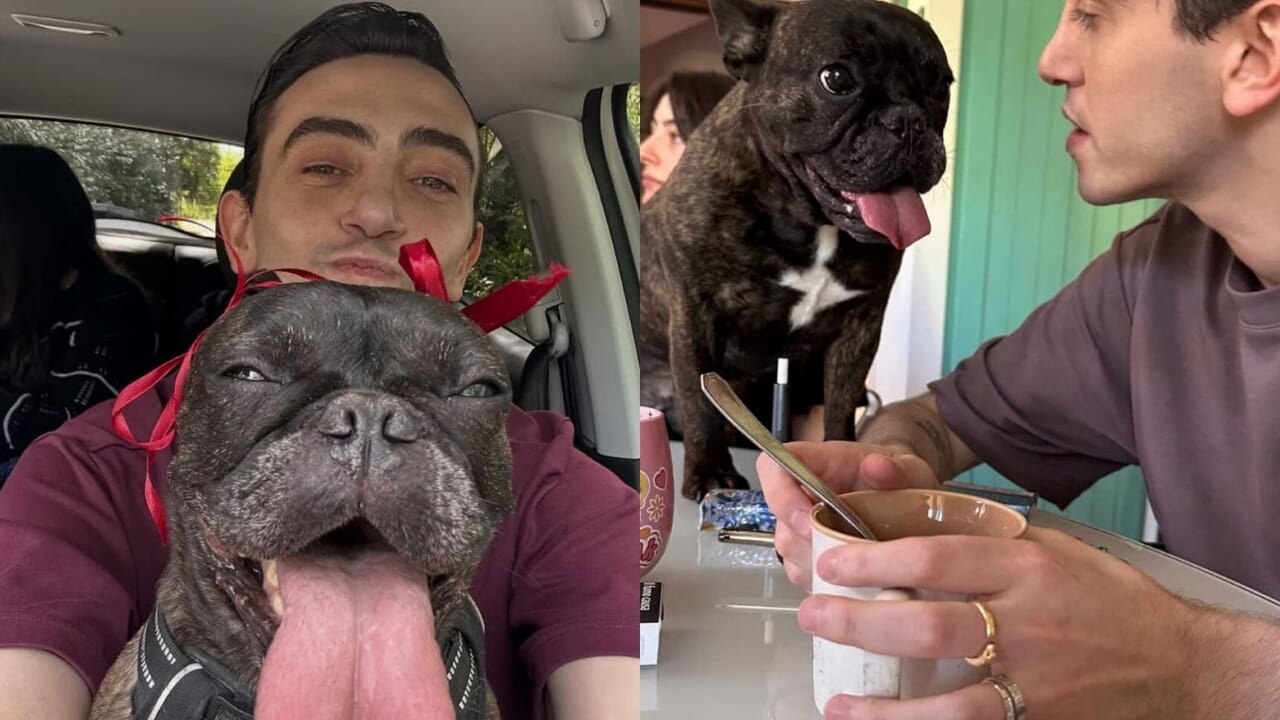 Michele Bravi piange la sua cagnolina Signora Longari: “Quei dentini avranno sempre un posto nel mio cuore”