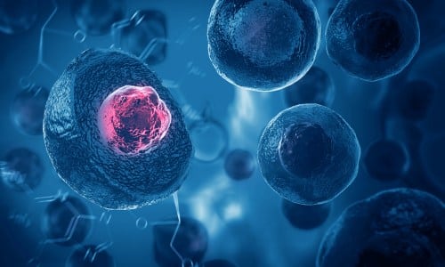 Cellule staminali e lesioni al midollo, nuovi risultati riaccendono la ricerca sulla paralisi