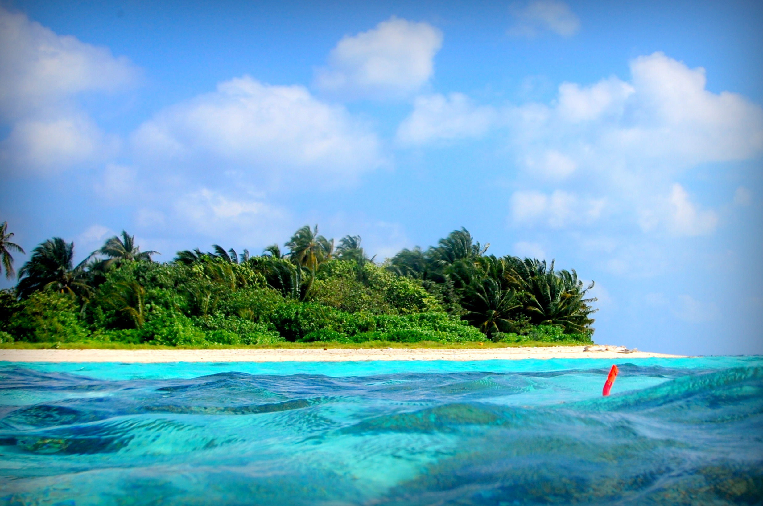 Cinque italiani morti durante un’immersione alle Maldive